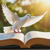 5 Versículos sobre Paz e Consolo (Filipenses 4:6-7)