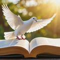 5 Versículos sobre Paz e Consolo (Filipenses 4:6-7)